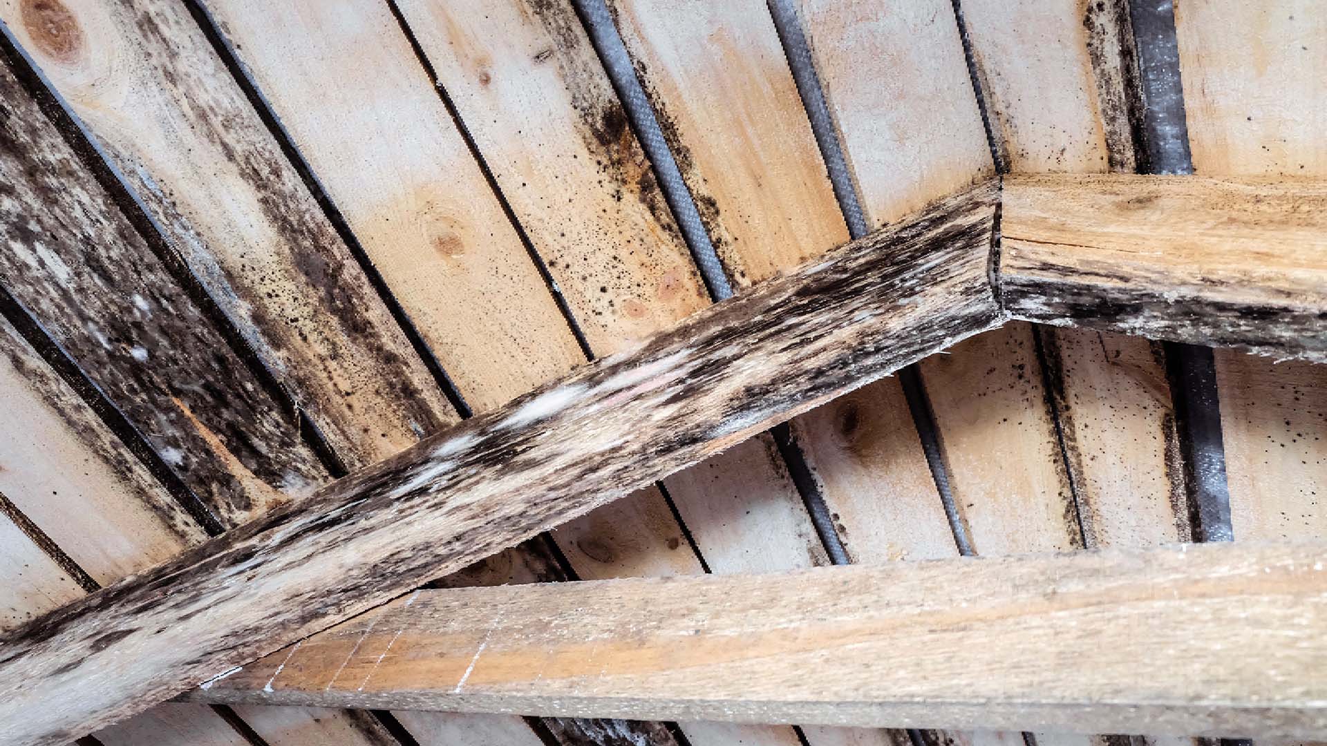Why a Regular Loft Check Helps to Avoid Major Roof Problems